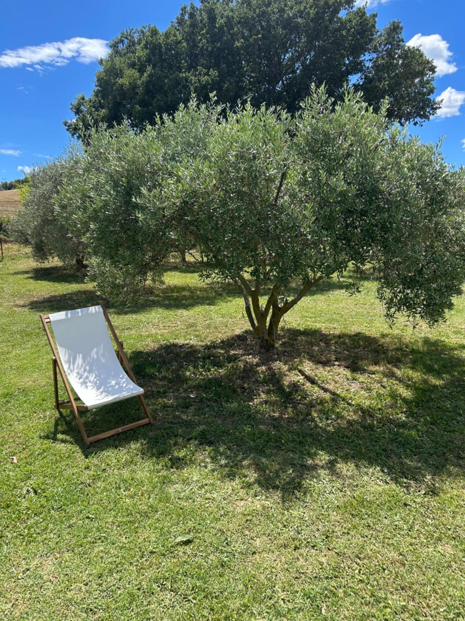 Sous Les Etoiles En Provence, Gite Les Grands Chenes Lurs Exterior photo