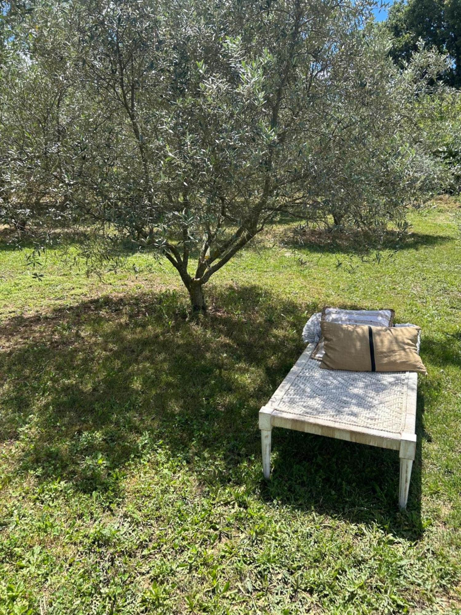 Sous Les Etoiles En Provence, Gite Les Grands Chenes Lurs Exterior photo
